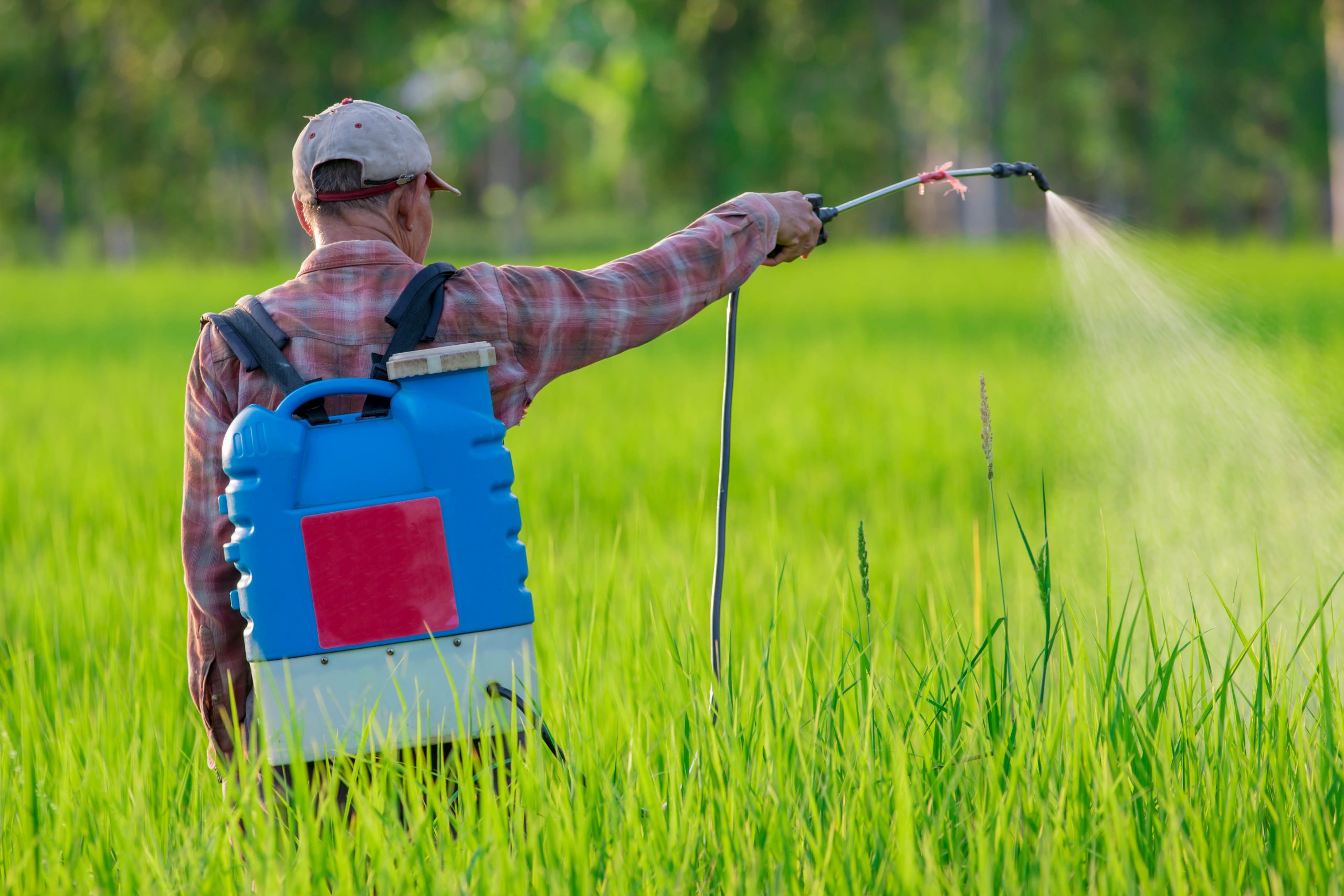 אילוסטרציה. קרדיט: SHUTTERSTOCK